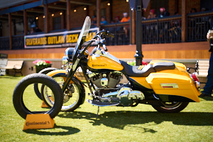 Continental LVS00132